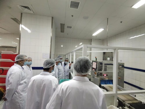 金豐餐飲 全自動化裝備賦能盒飯配餐工廠，打造高效保障服務體系